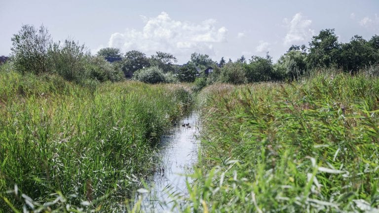 P1255913 (c) Sylt Connected